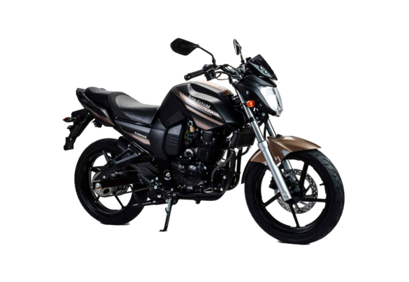 Мотоцикл Motoland 300 BANDIT pitbikemarket.ru